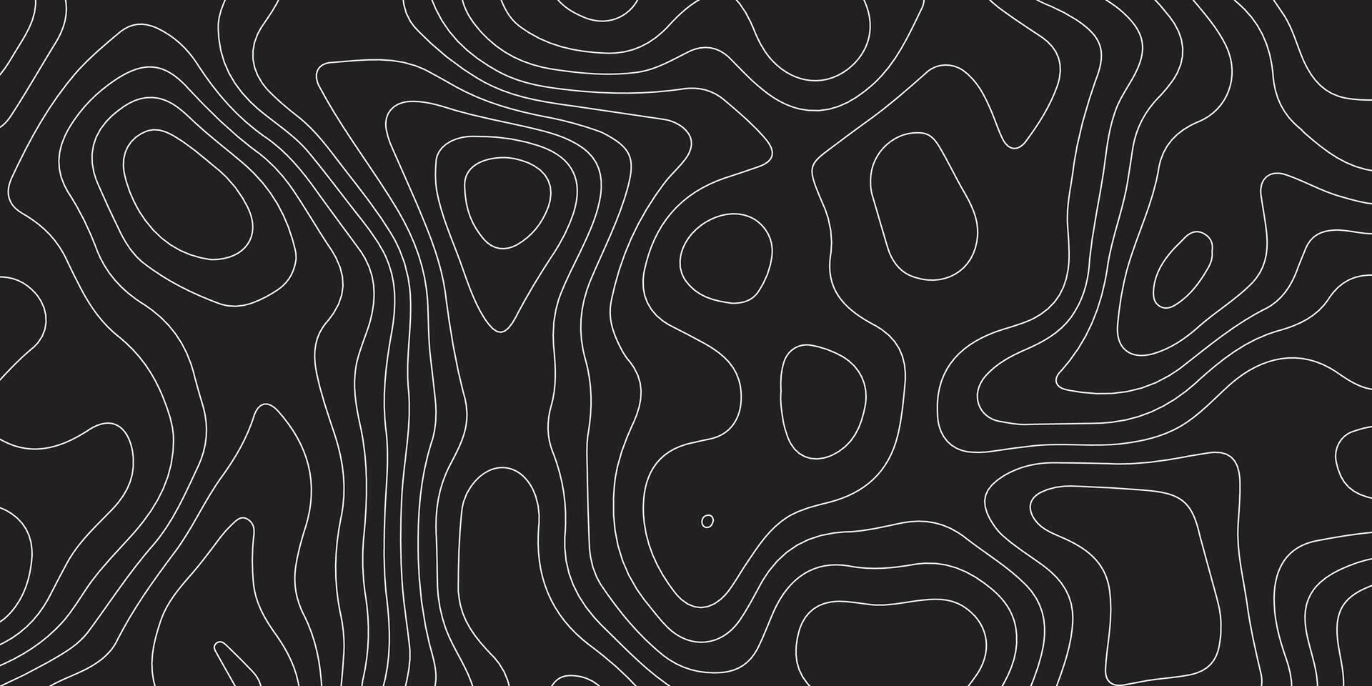 black and white seamless pattern. abstract pattern with lines. background of the topographic map. elevation contouring outline cartography texture. geographic abstract grid. futuristic wireframe lands vector