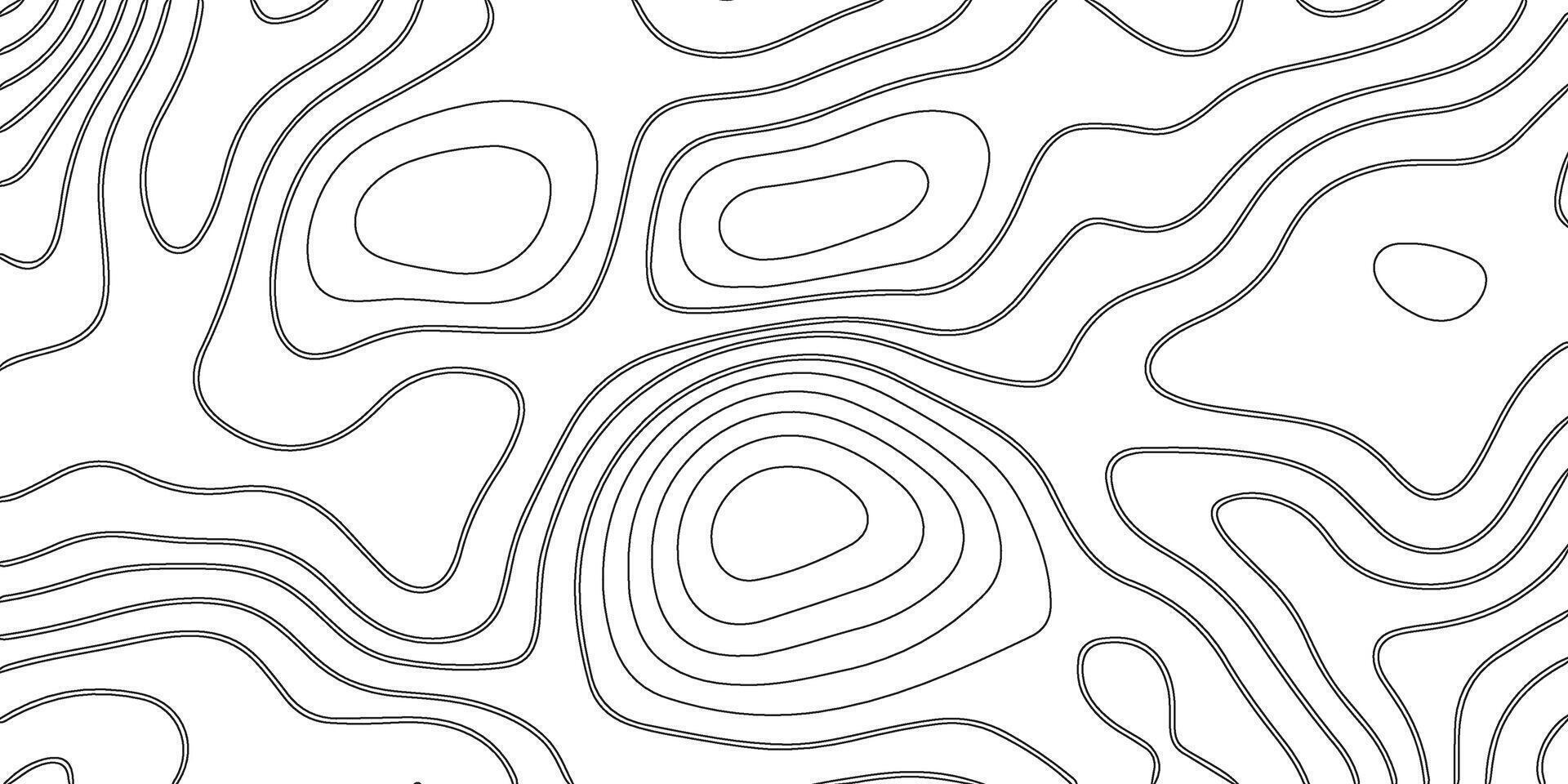 Abstract seamless pattern with lines. Background of the topographic map. vector