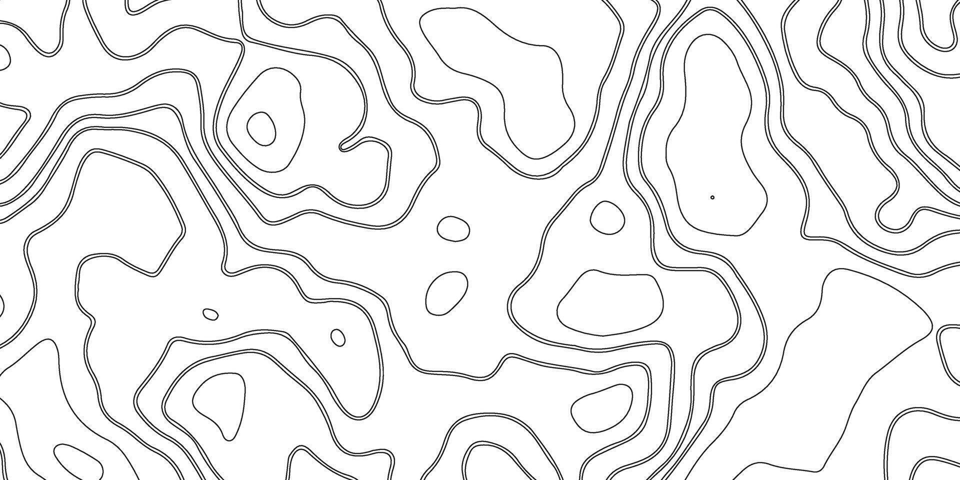 White wave paper curved reliefs abstract background. Abstract topographic contours map. Seamless pattern with lines vector