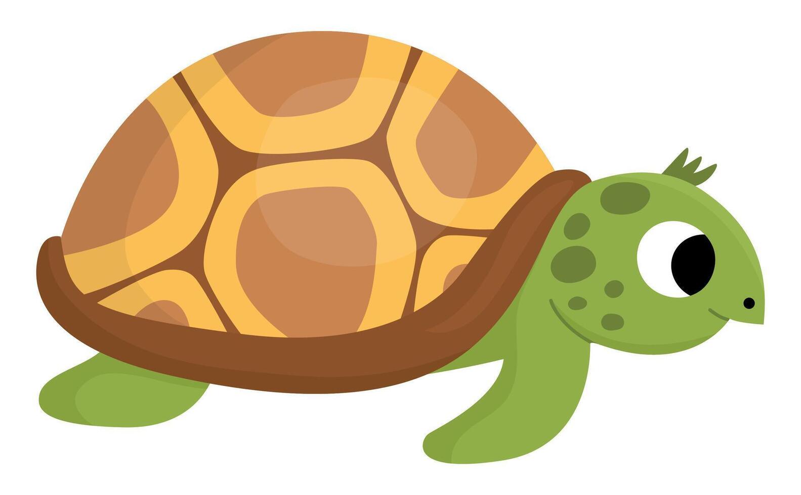 vector tortuga icono. debajo el mar ilustración con linda gracioso Oceano animal. dibujos animados submarino o marina Tortuga clipart para niños aislado en blanco antecedentes