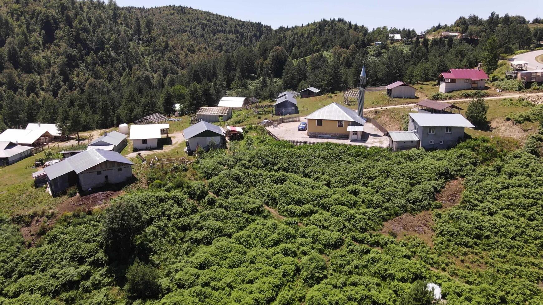 Aerial View Rural Village photo