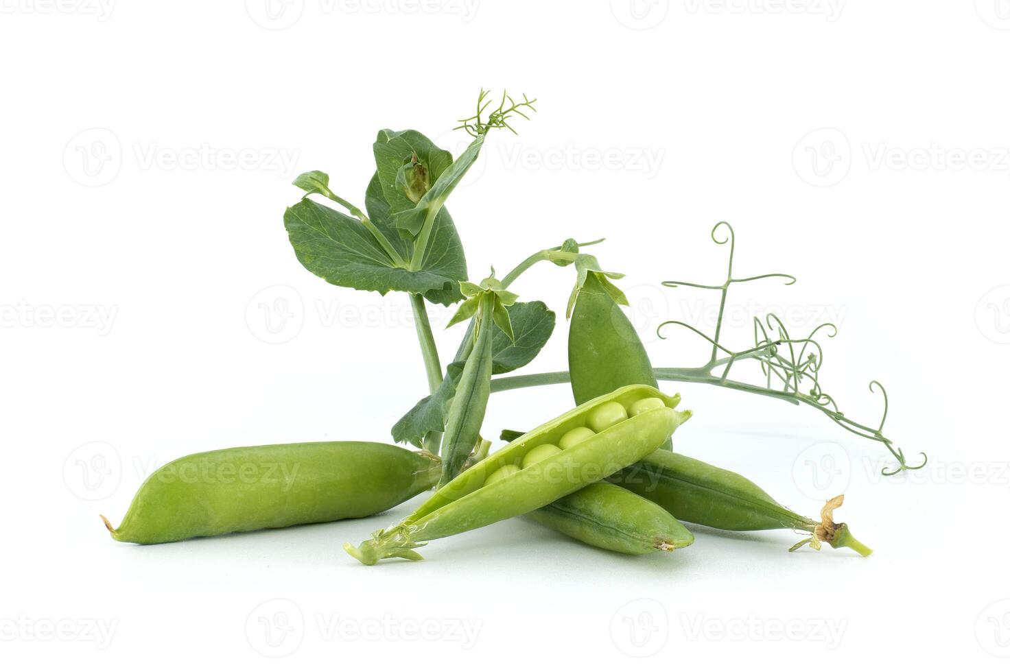 Sweet peas pods with green leaves isolated on white photo