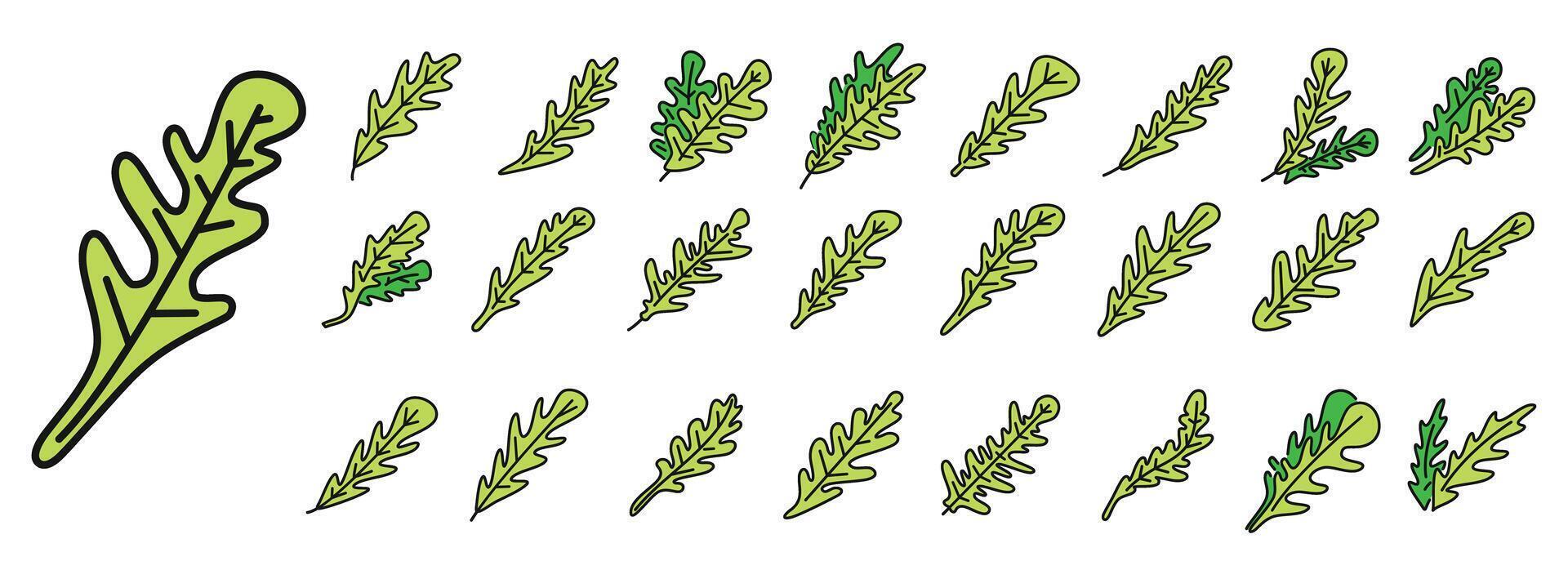 Arugula leaf icons set vector color