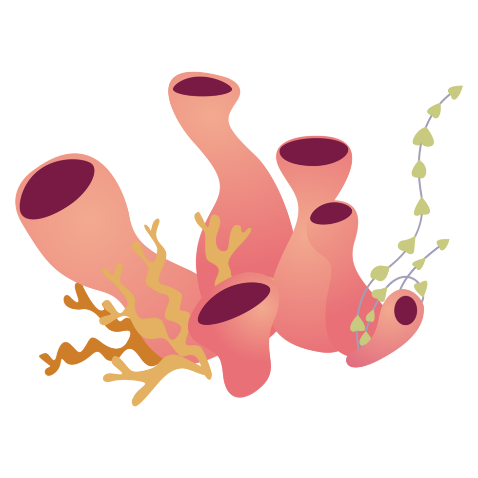 Marine plant stickers png
