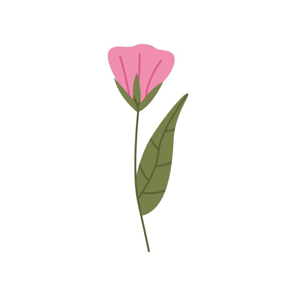 Wild flower illustration vector