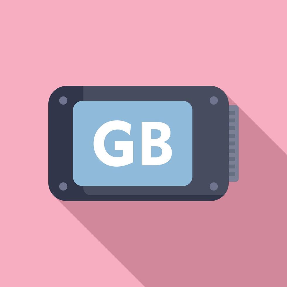 GB storage focus icon flat vector. State backup ssd vector