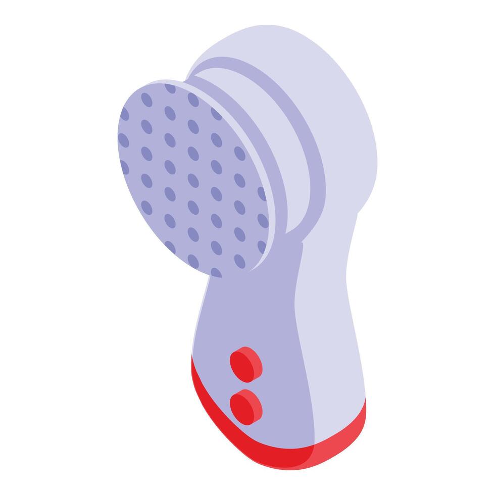 Massage tool icon isometric vector. Fashion beauty face vector