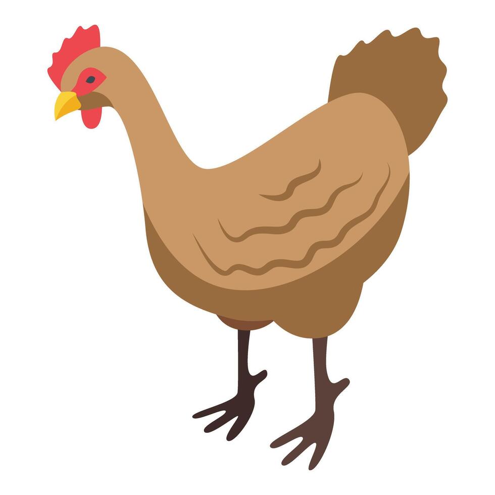 Chicken bird icon isometric vector. Farming production vector