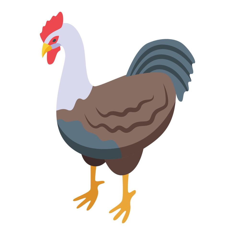 gallo pájaro icono isométrica vector. granja pollo industria vector