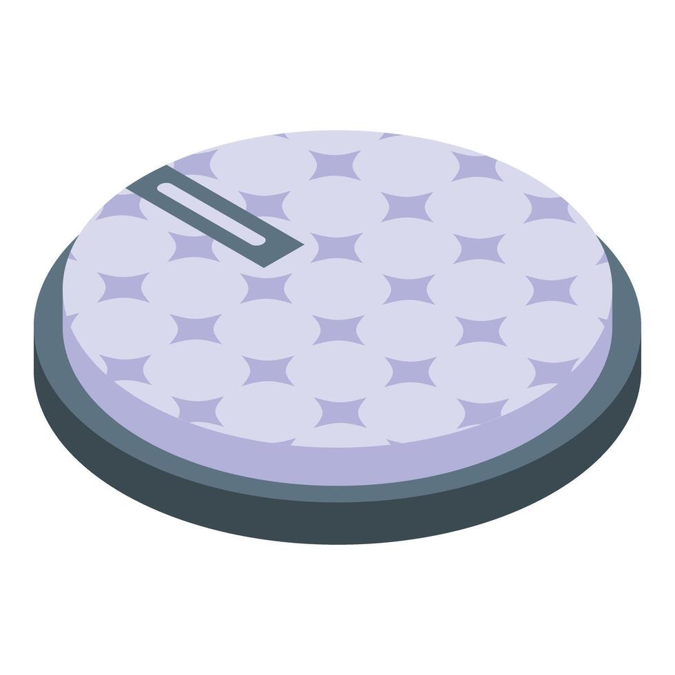 Makeup removal pad icon isometric vector. Cotton material vector