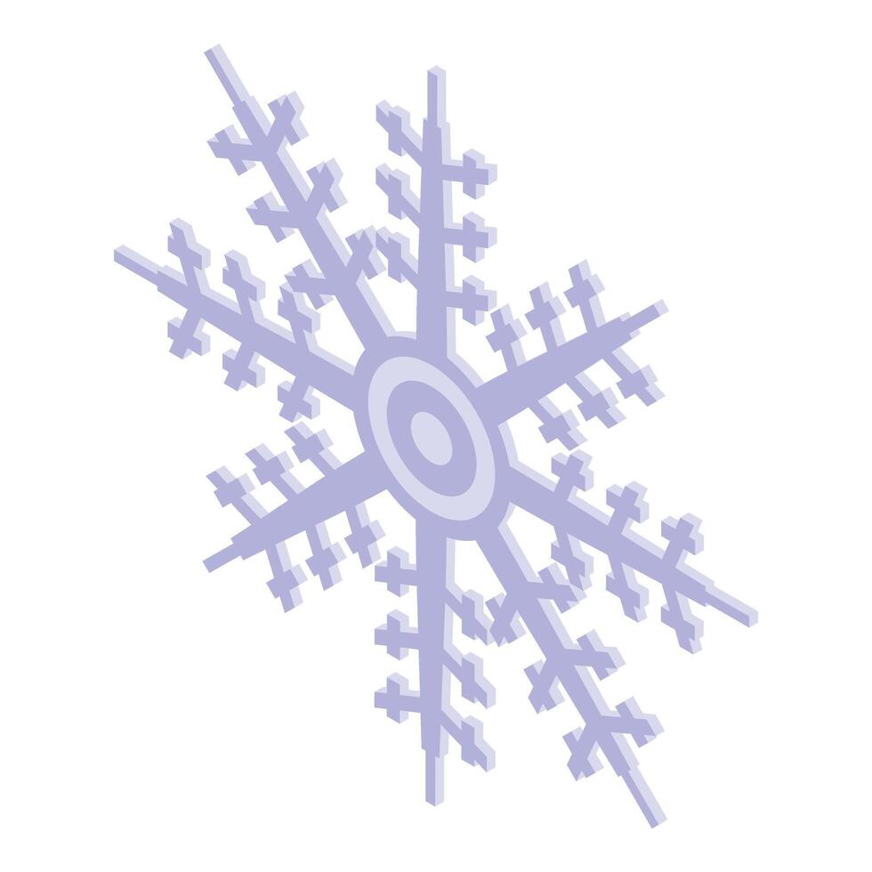 invierno copo de nieve icono isométrica vector. frio congelado niño vector