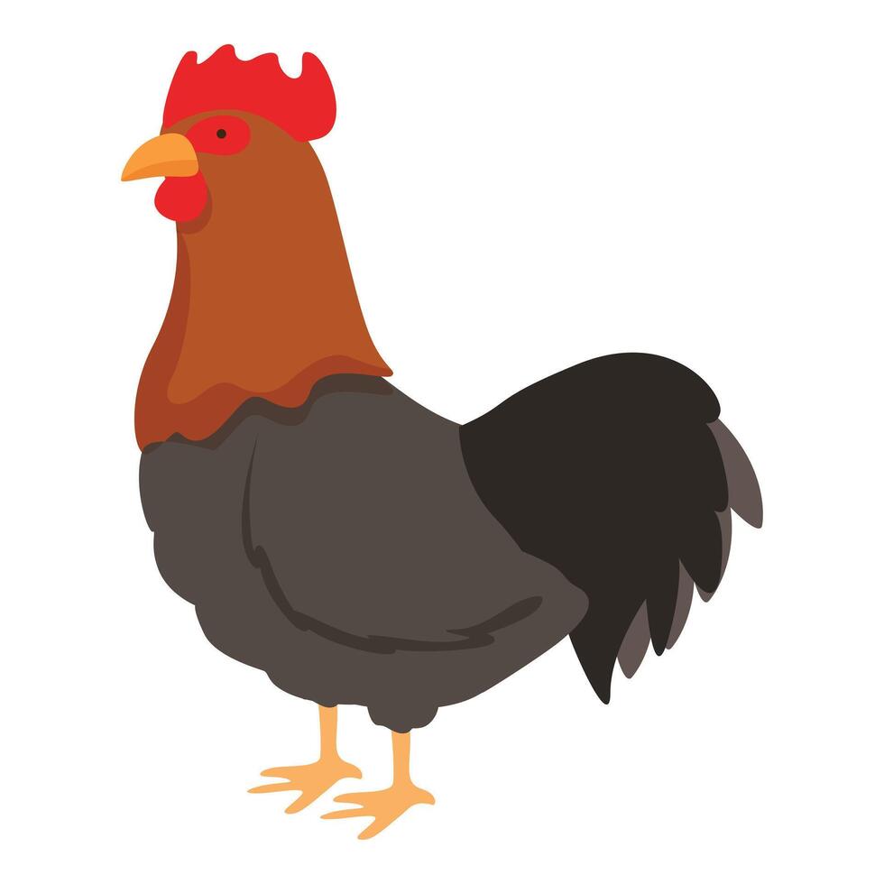 Chicken cock icon cartoon vector. Bird feeder vector