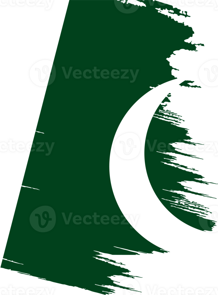 Pakistan flag brush png