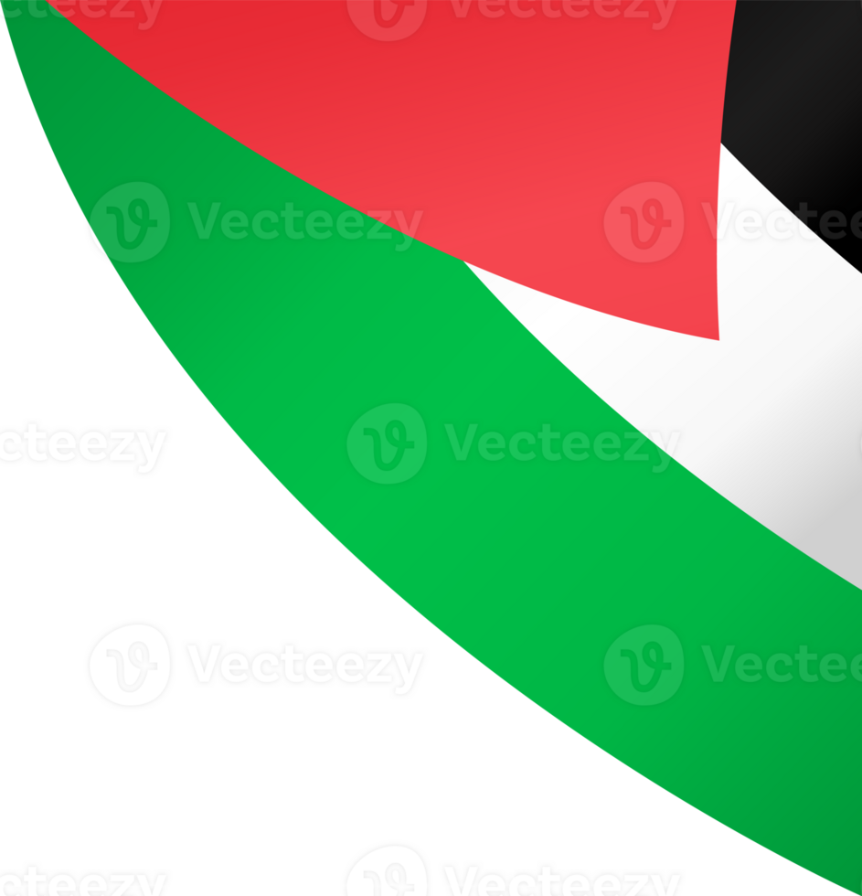 Palestine flag wave png