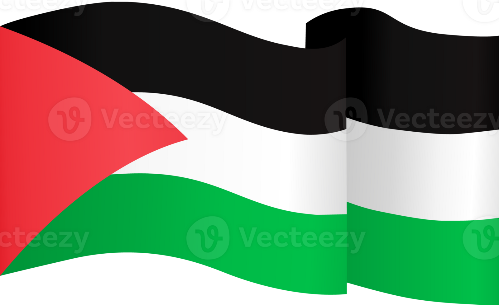 Palestine flag wave png