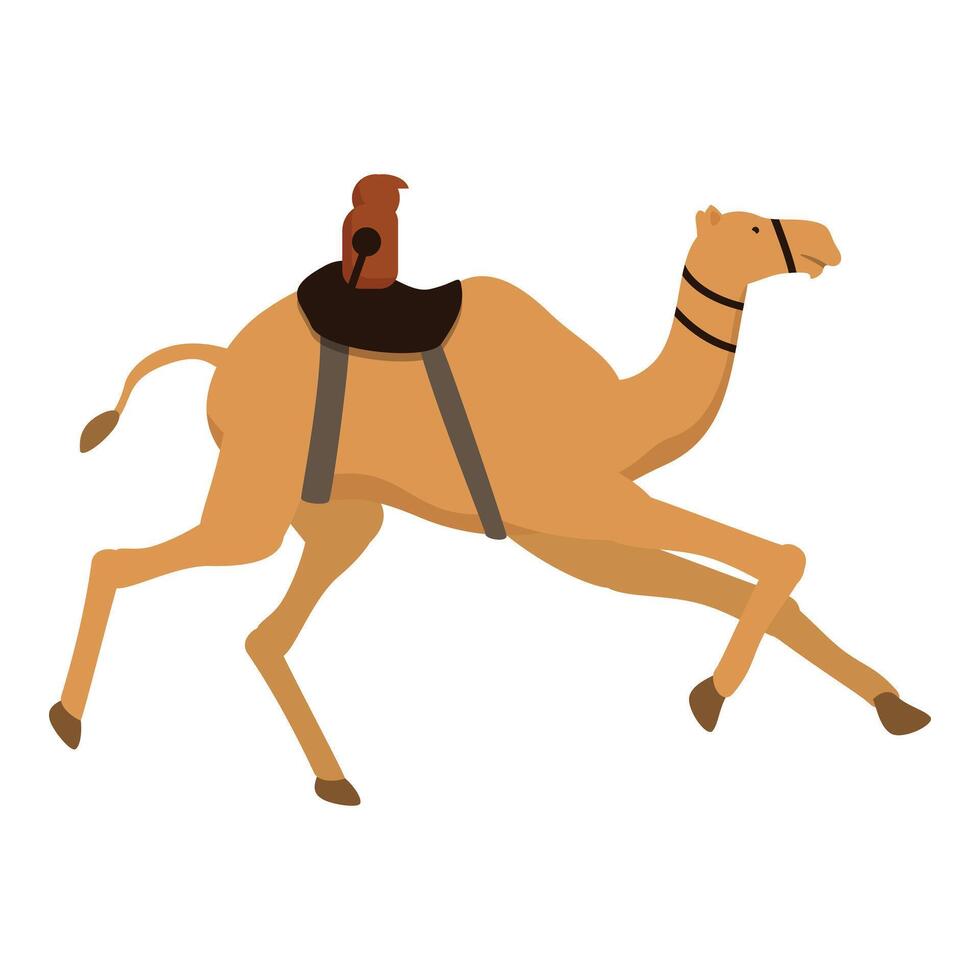 Festival activity race camel icon cartoon vector. India track vector