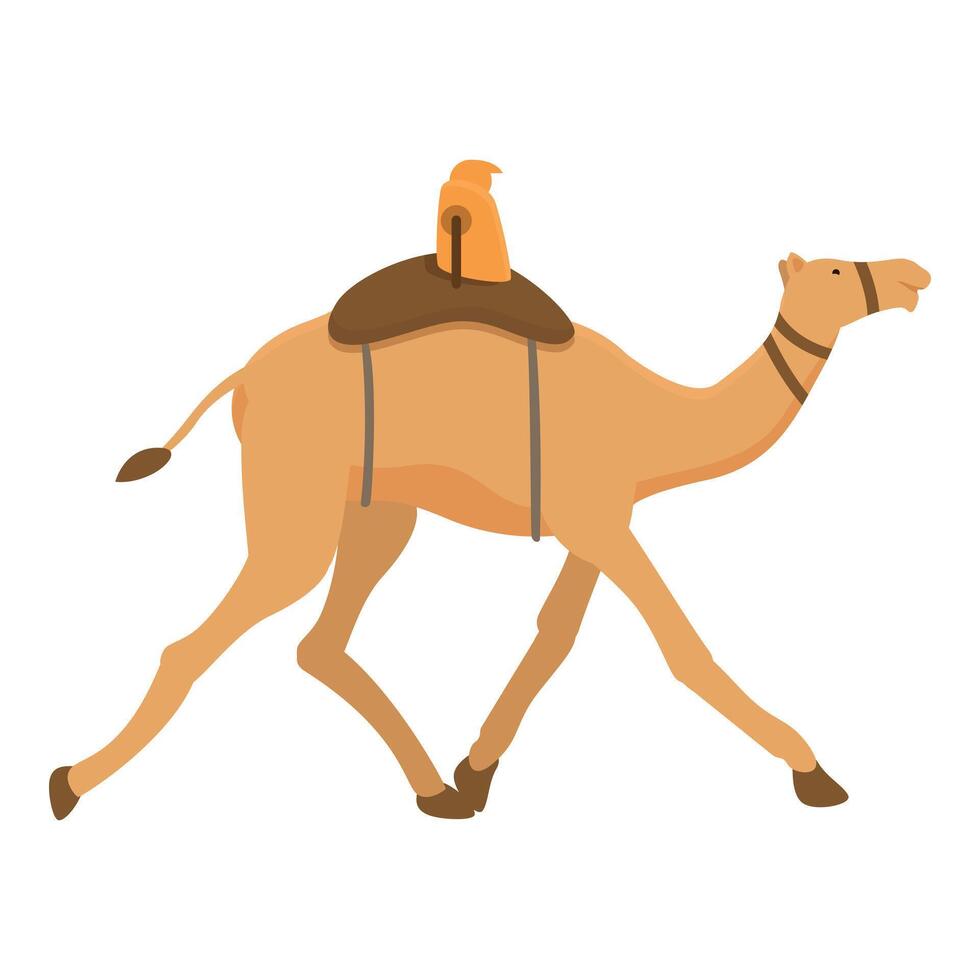 Run camel festival icon cartoon vector. Sport running vector