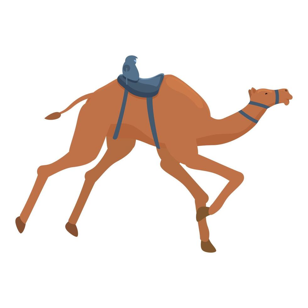 jinete en deporte camello icono dibujos animados vector. velocidad agricultura vector