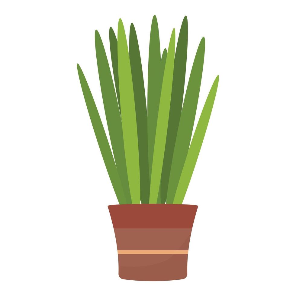 Succulent flower pot icon cartoon vector. Care indoor plant vector