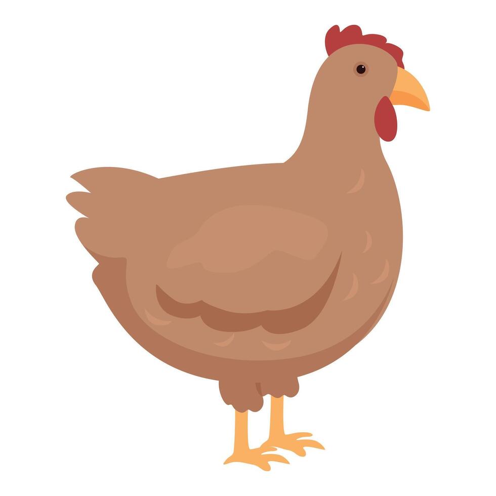 Farm chicken icon cartoon vector. Bird animal vector