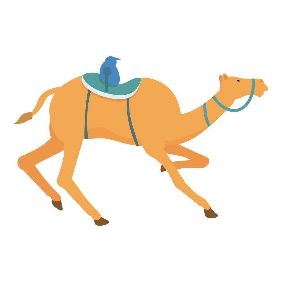 deporte carrera animal icono dibujos animados vector. camello montando festival vector