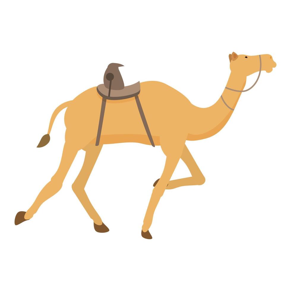 deporte animal corriendo icono dibujos animados vector. arabia saudi vector