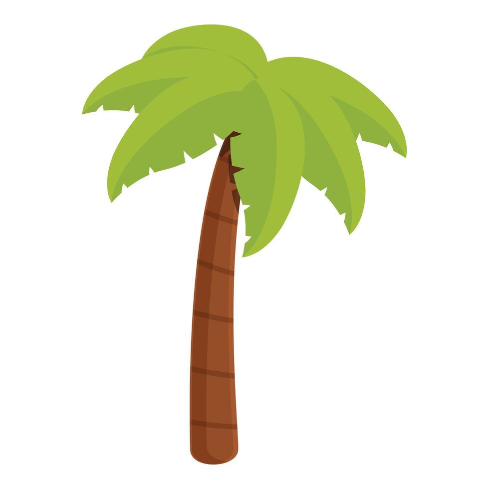 Bali palm tree icon cartoon vector. Coconut fruits vector