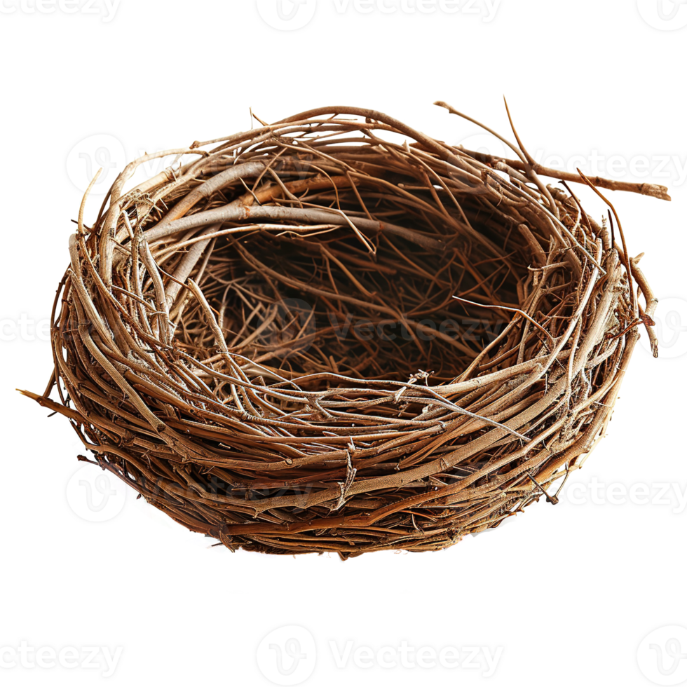 AI generated Bird nest isolated on transparent background png