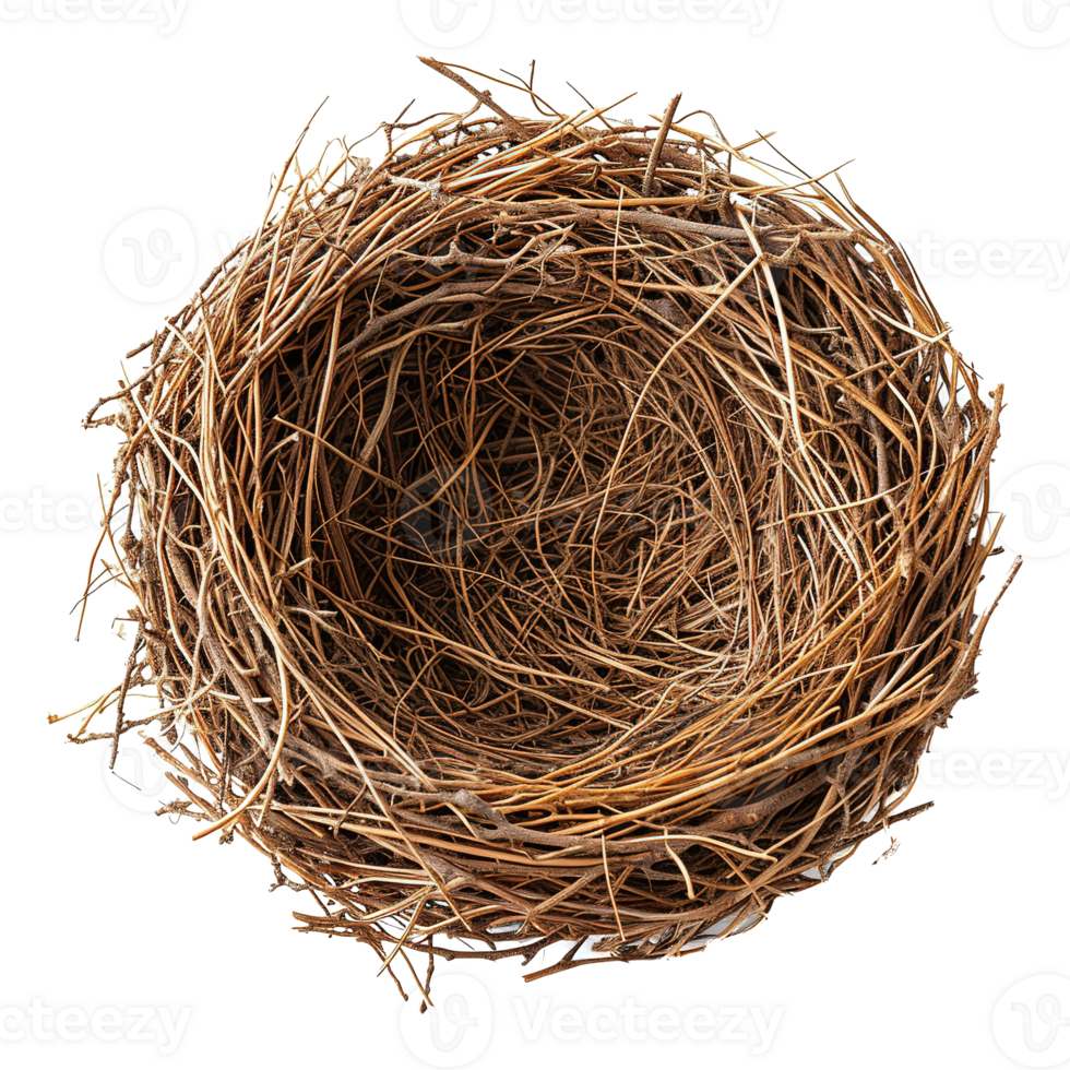 AI generated Bird nest isolated on transparent background png