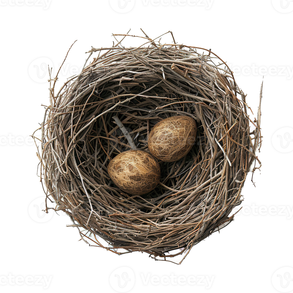 AI generated Bird nest isolated on transparent background png