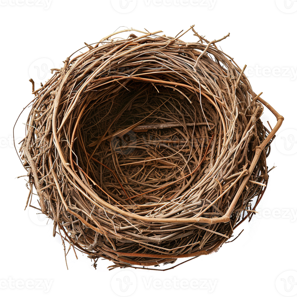 AI generated Bird nest isolated on transparent background png
