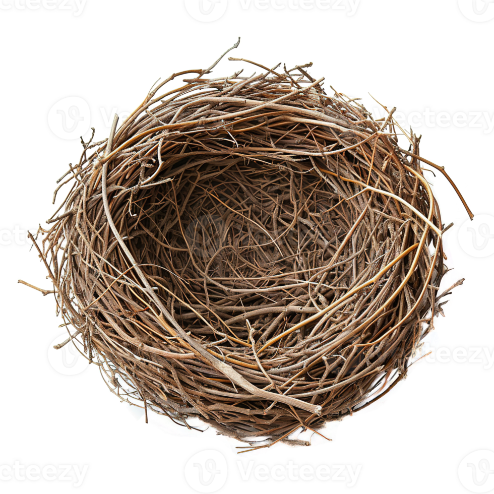 ai généré oiseau nid isolé sur transparent Contexte png