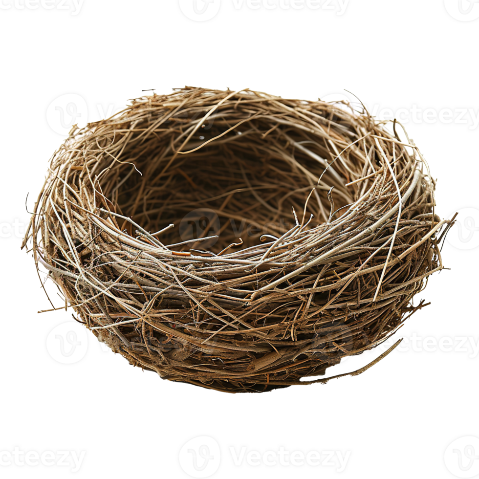 AI generated Bird nest isolated on transparent background png
