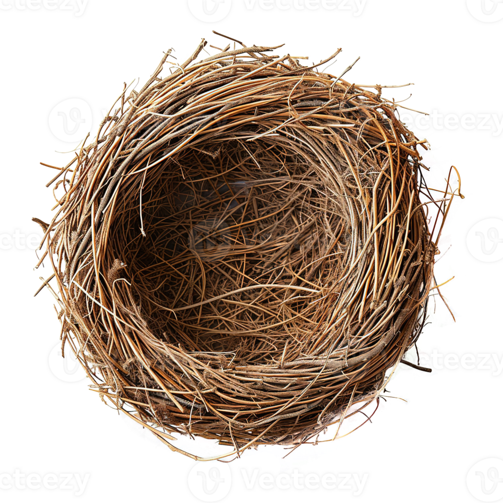 AI generated Bird nest isolated on transparent background png
