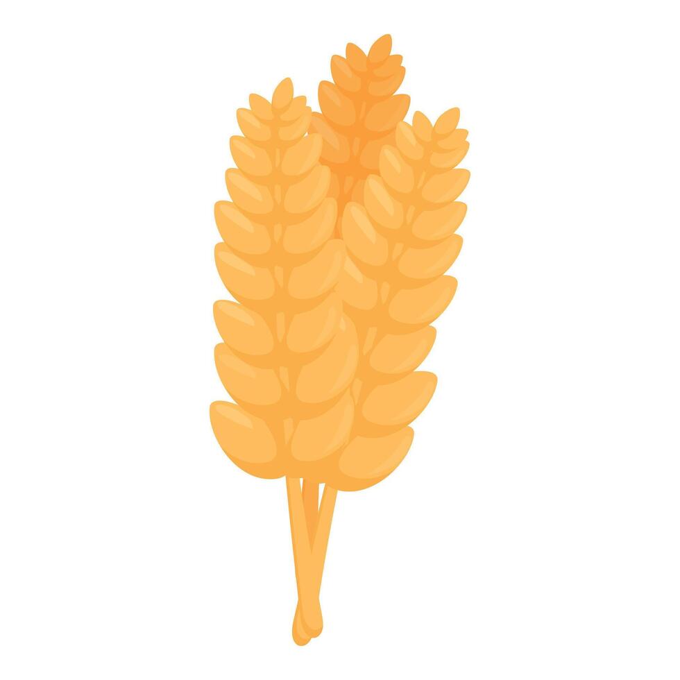 Grain wheat plant icon cartoon vector. Bread production material vector