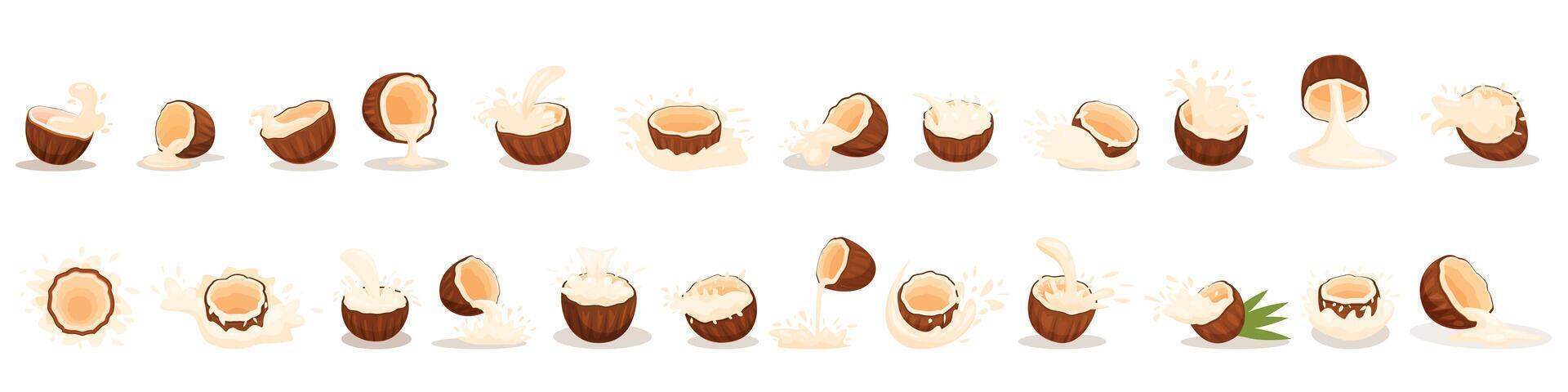 Coconut milk splash icons set cartoon vector. Fresh cooking vector
