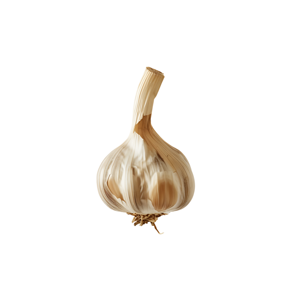 AI generated Isolated Transparent Garlic Bulb png