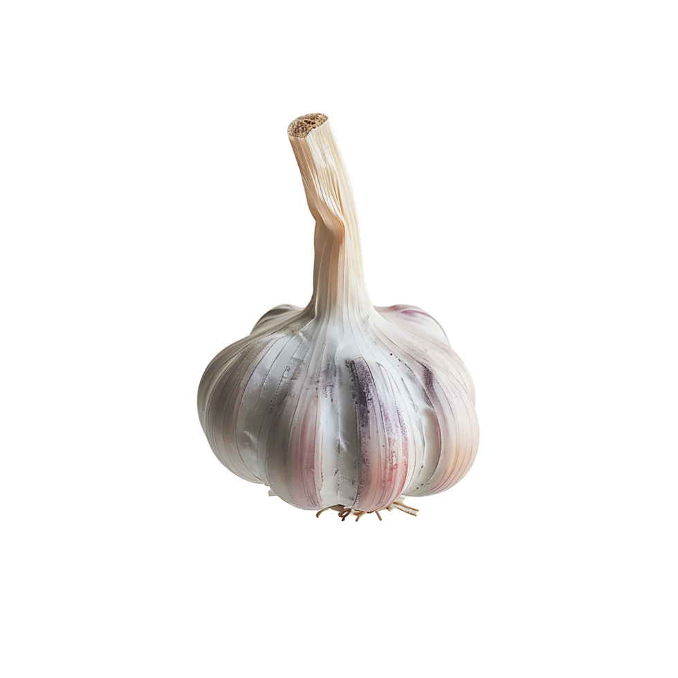 AI generated Fresh Garlic Bulb on Clear Background png