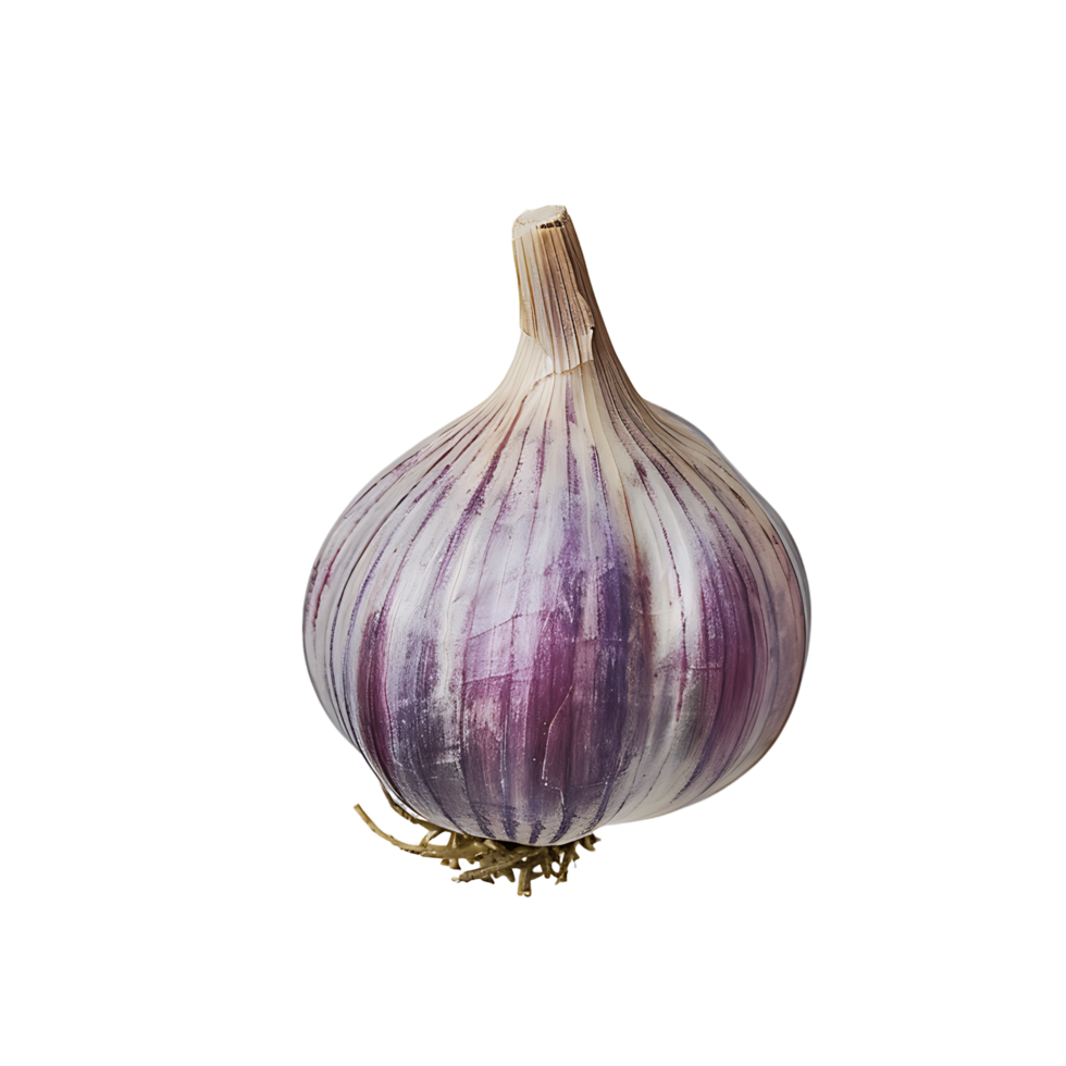 AI generated Clear Garlic Bulb Design Kit png