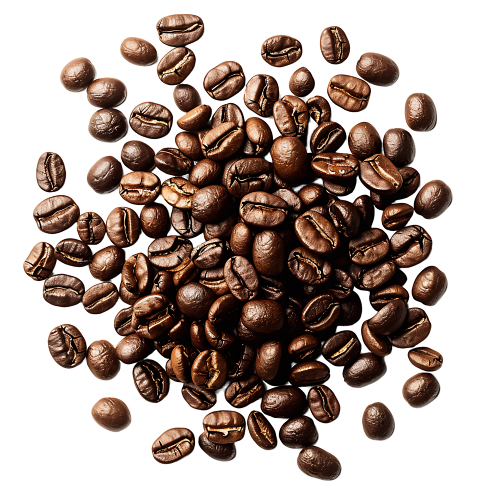 AI generated Robust Coffee Bean Clip Collection png