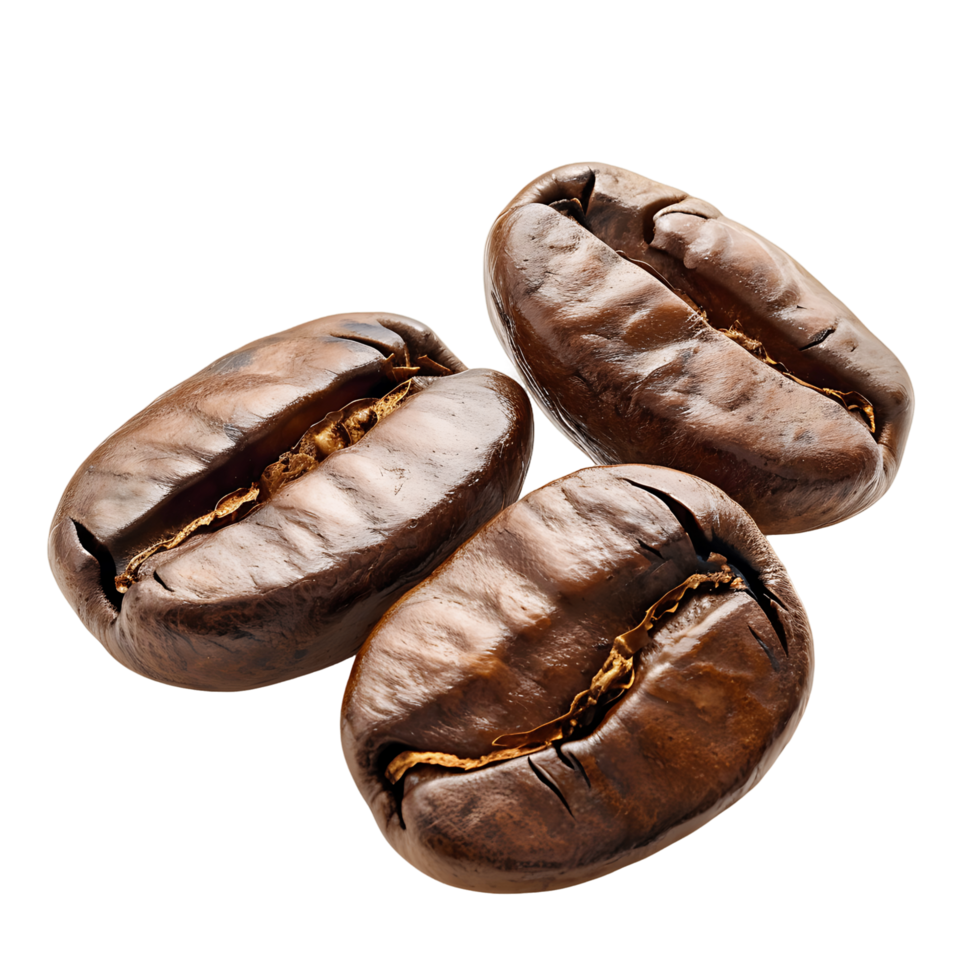 AI generated Clear Coffee Beans Design Kit png