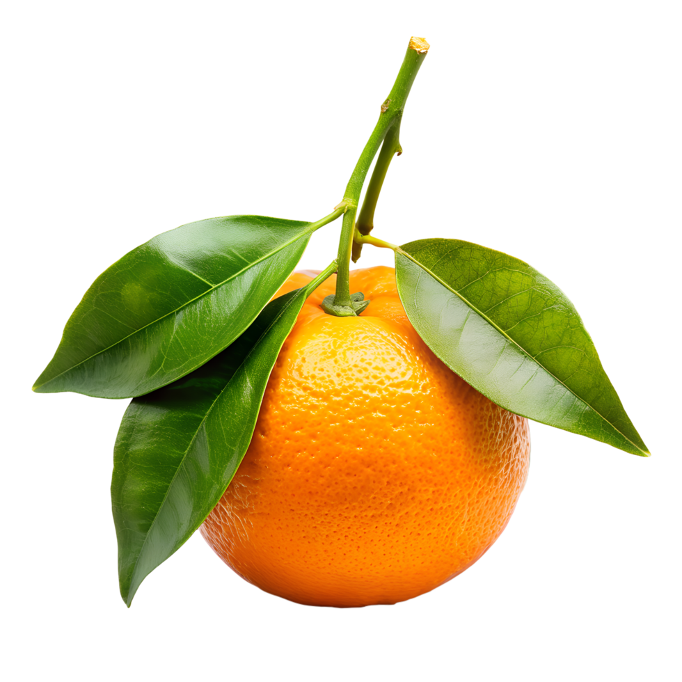 AI generated fresh orange fruit with leaves and branches isolated on transparent background png