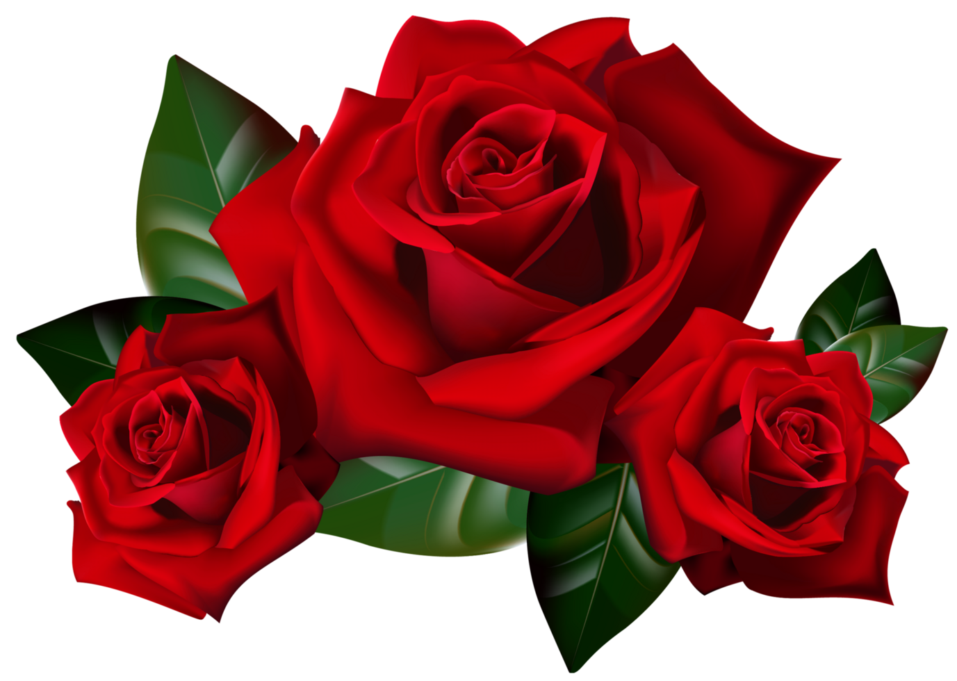 rosa, rosso Rose, rosso Rose 3d arte, fiore organizzare, floribunda, png