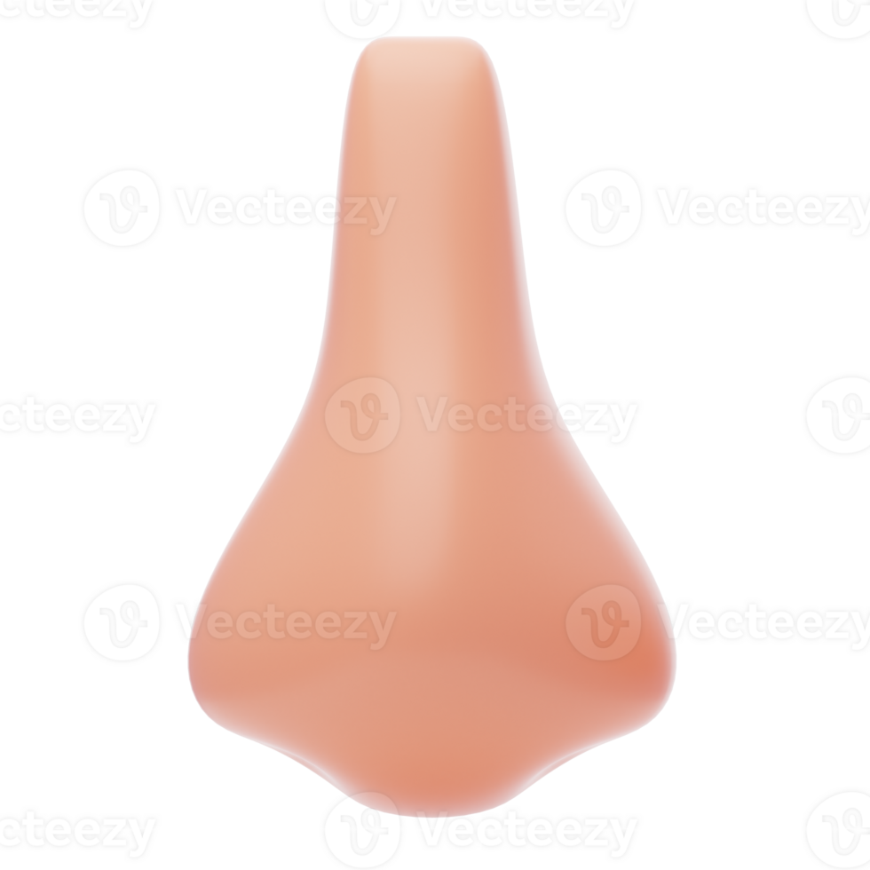 Nose 3D Icon. Human Nose front view png