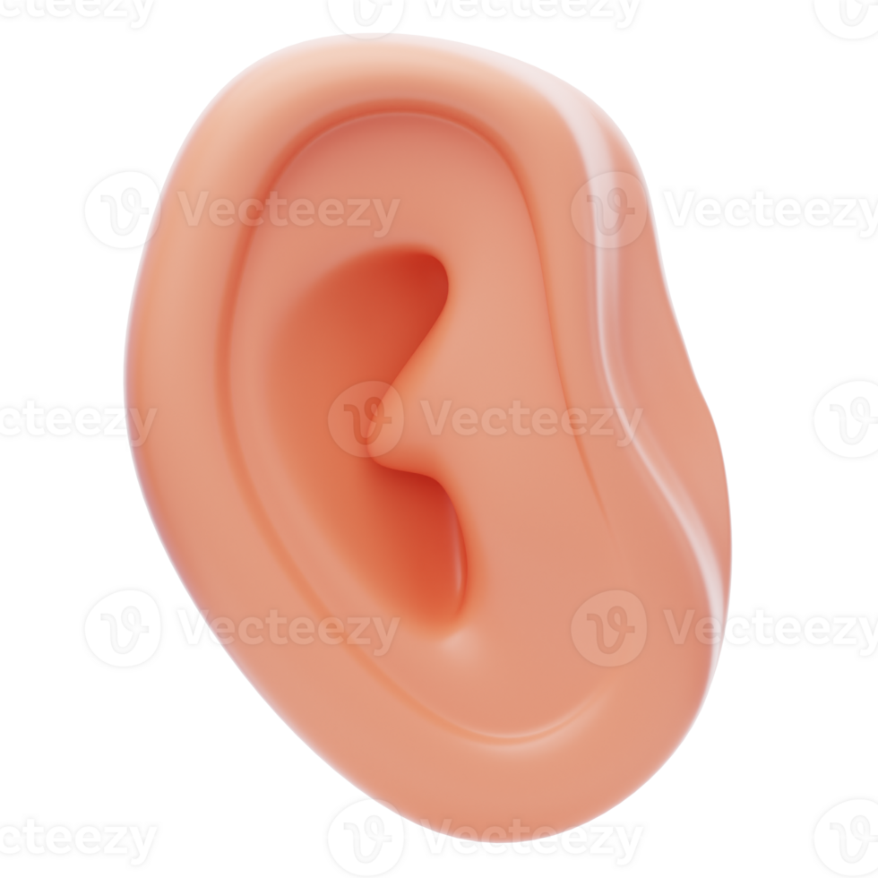 ear 3d icon. Realistic human ear 3d icon png