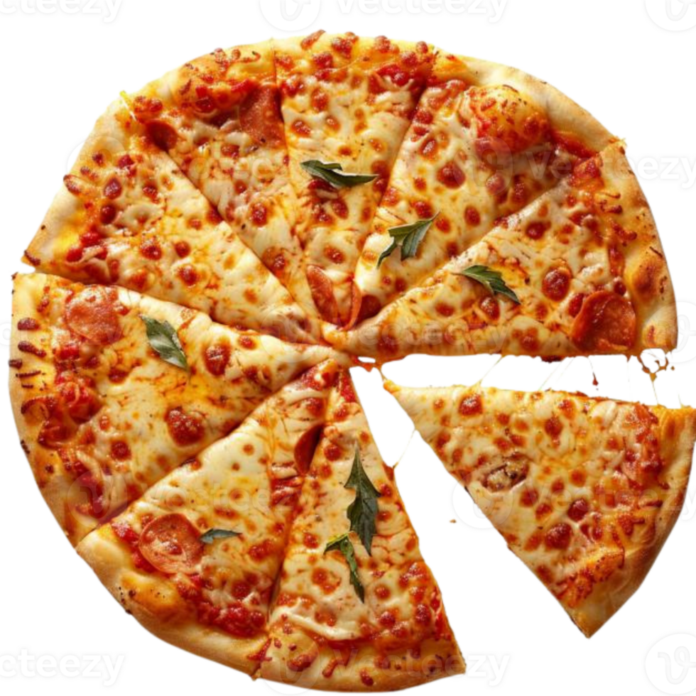 Pizza various flavors png transparent