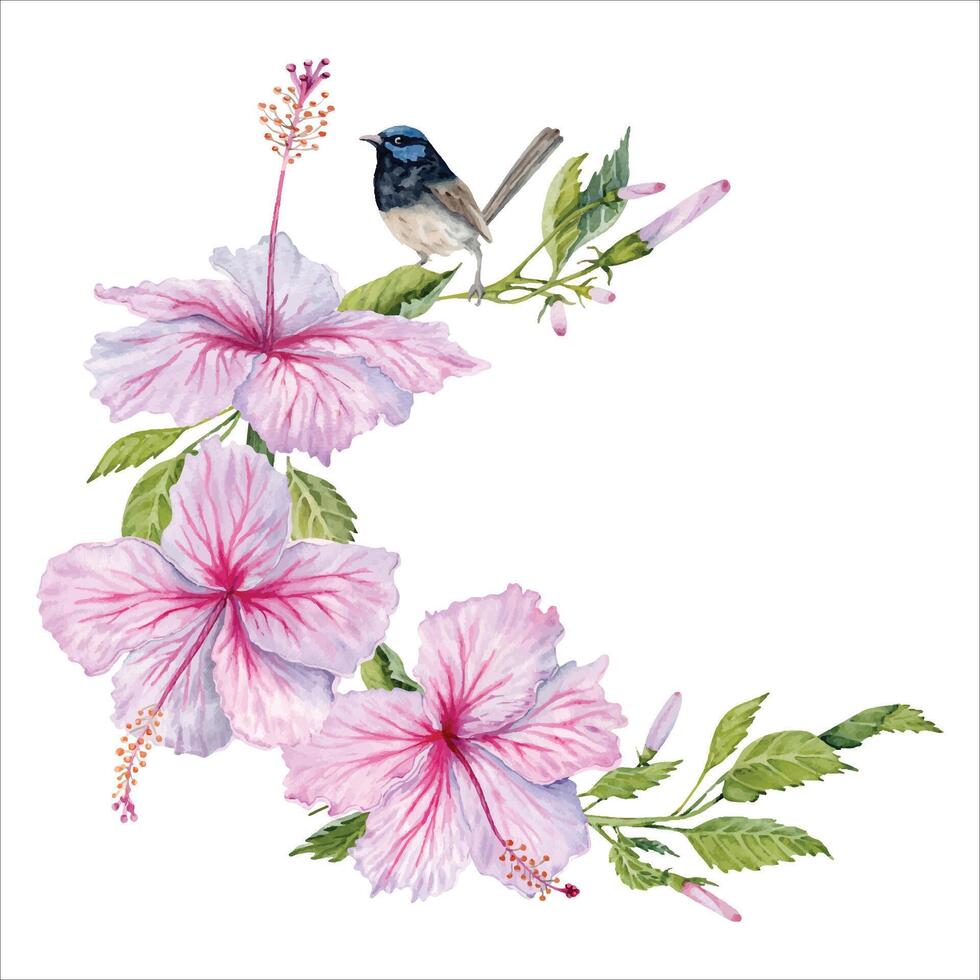 Watercolor pink hibiscus flowers with green leaves and a bird. Hand painted element isolated on white background. Floral composition. Hibiscus tea, syrup, cosmetics, beauty, fashion prints, designs vector