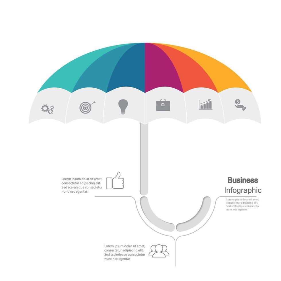 Infographic vector, graph. presentation. Business concepts, parts, steps, processes. Visualization of infographic data. Startup template. - Vector