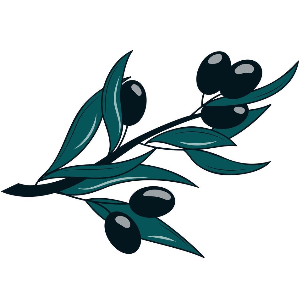 ilustración de rama de olivo vector