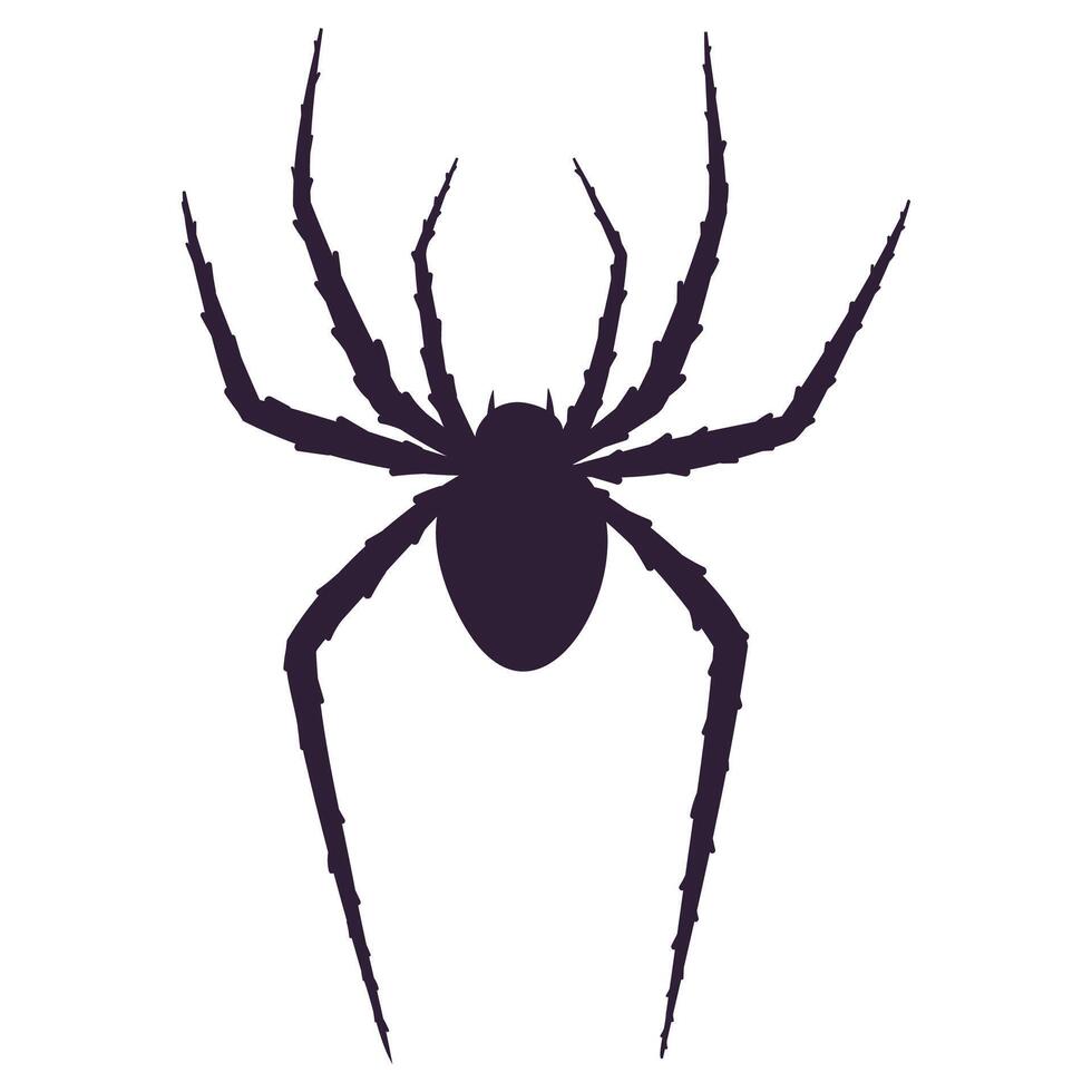 spider black silhouette vector